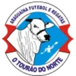 Araguaína