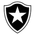 Botafogo SP U20
