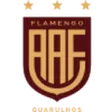 Flamengo SP U20