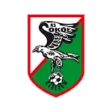 Sokół Kleczew