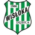 Wisłoka Dębica