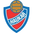 Haukar