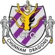 Jeonnam Dragons
