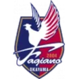 Fagiano Okayama