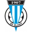Slaný