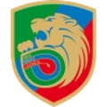 Miedz Legnica