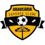 Araucaria U20