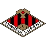 Minerul Lupeni