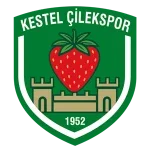 Kestel Çilek