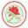 Adamstown Rosebuds
