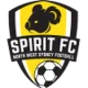 NWS Spirit